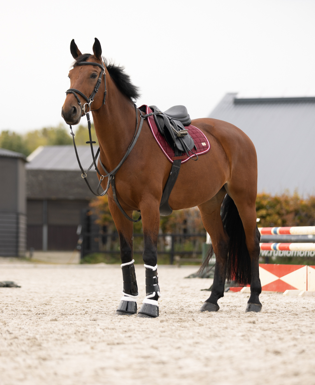 OQ's Bella Spring Zadeldek
