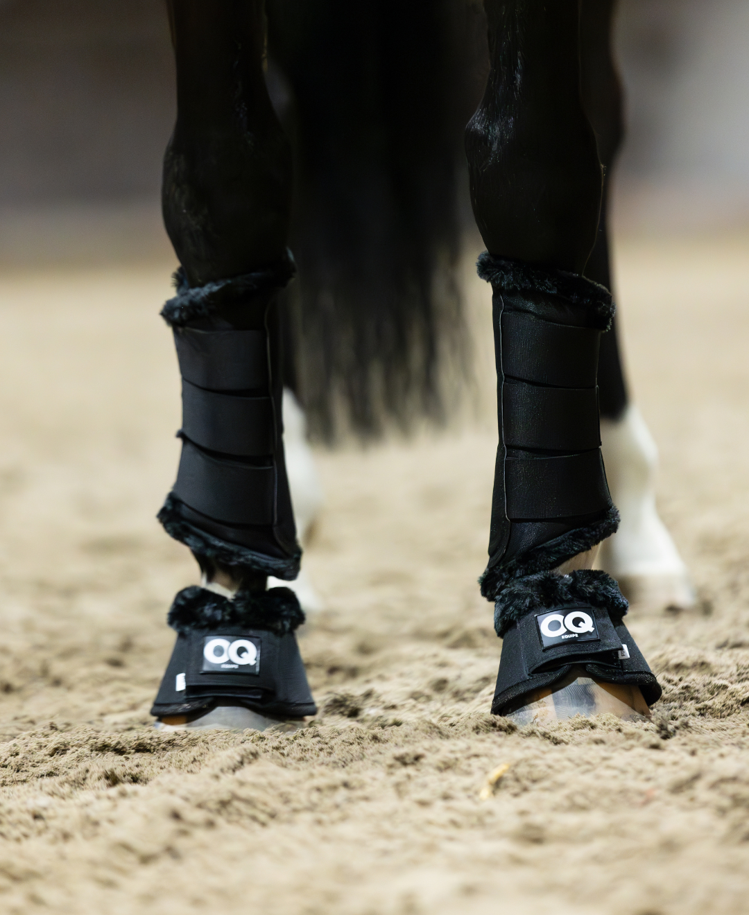 OQ's Lulu Springschoenen