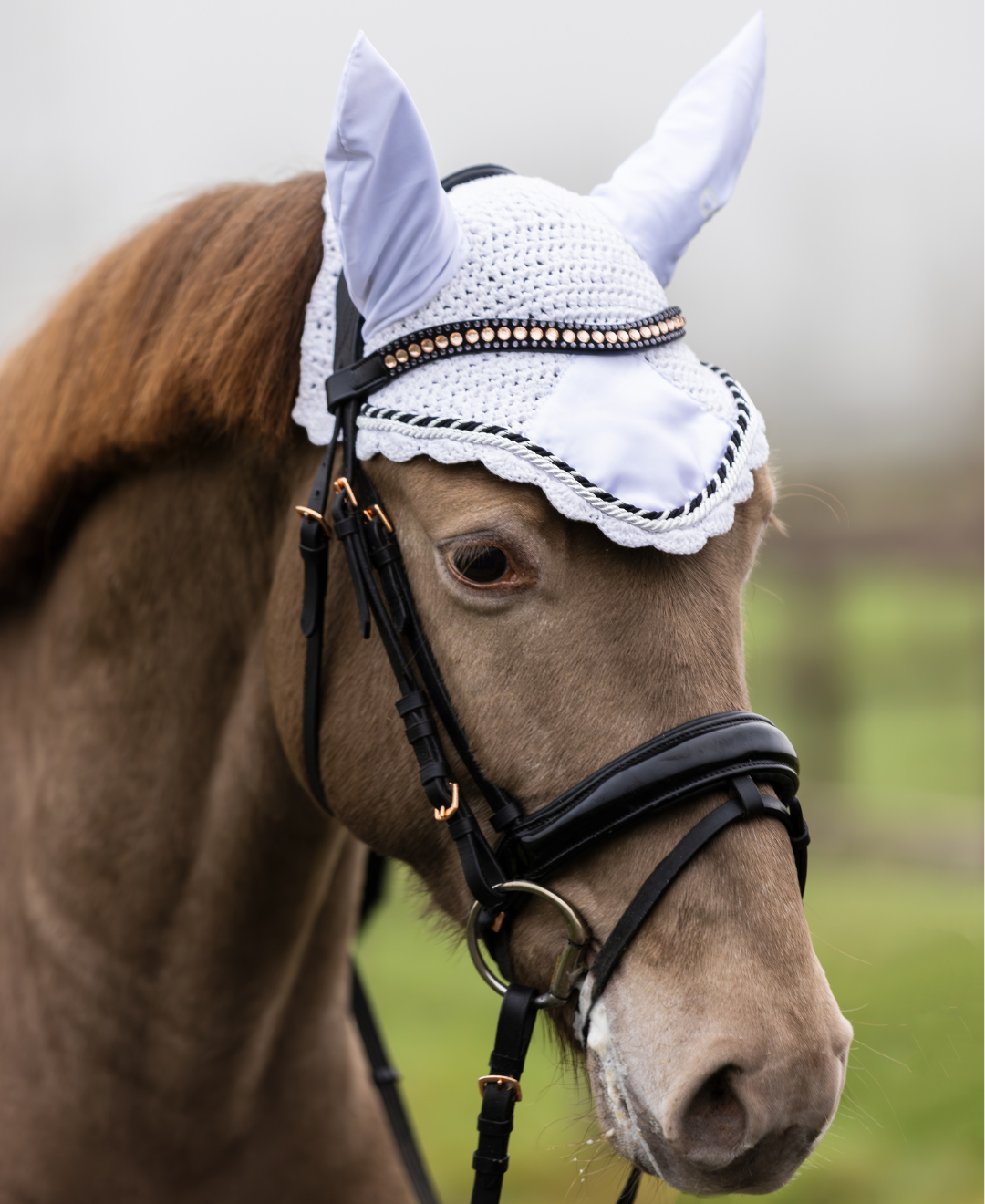OQ's Lulu Oornetje