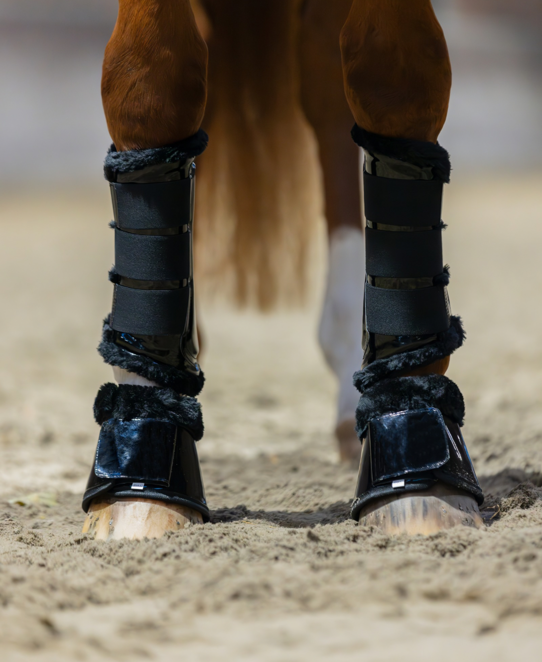 OQ's Bella Springschoenen